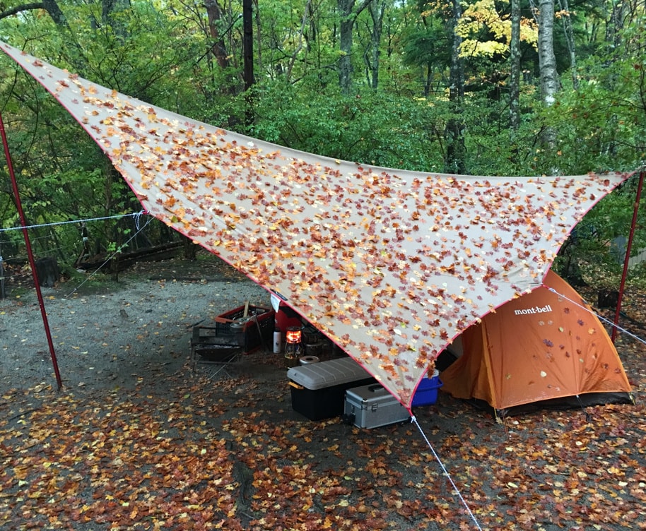 紅葉の中でテント泊