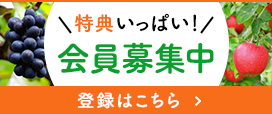 おトクな新規会員登録はこちら