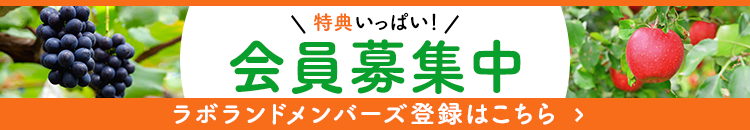 おトクな新規会員登録はこちら