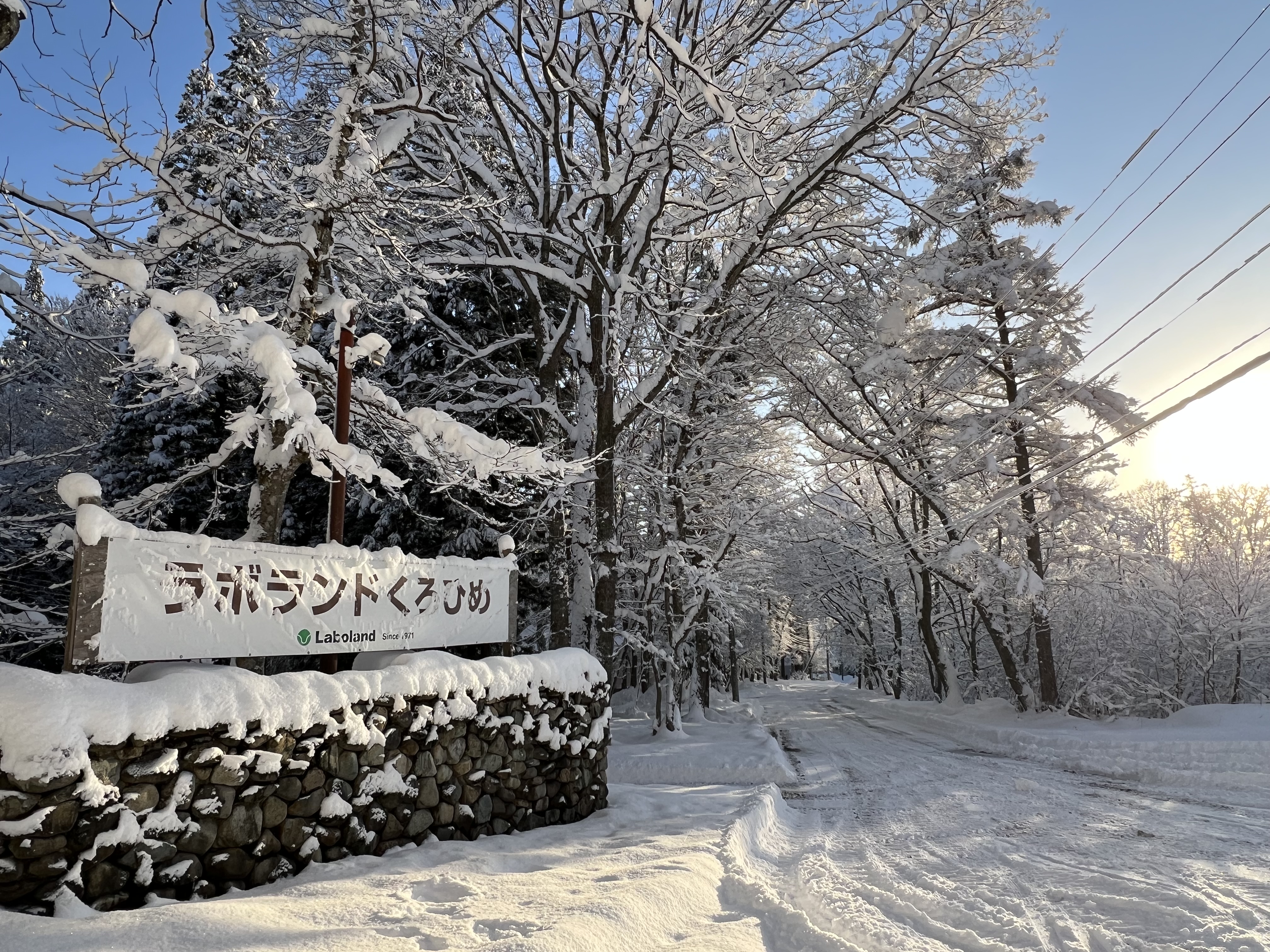昨年は大雪でした。表紙です。