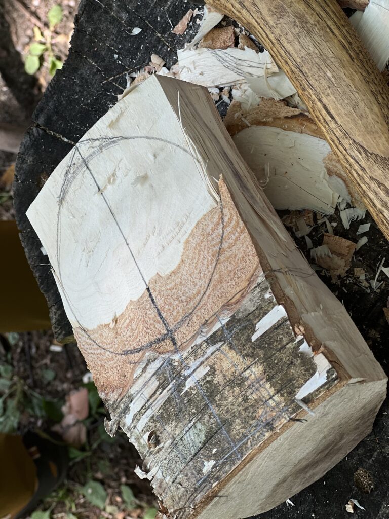 北欧の知恵 × 信州の自然白樺の生木から削り出す、一生愛せるククサ